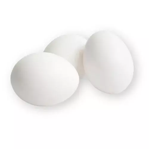 SANTIAGO HUEVO BLANCO KG